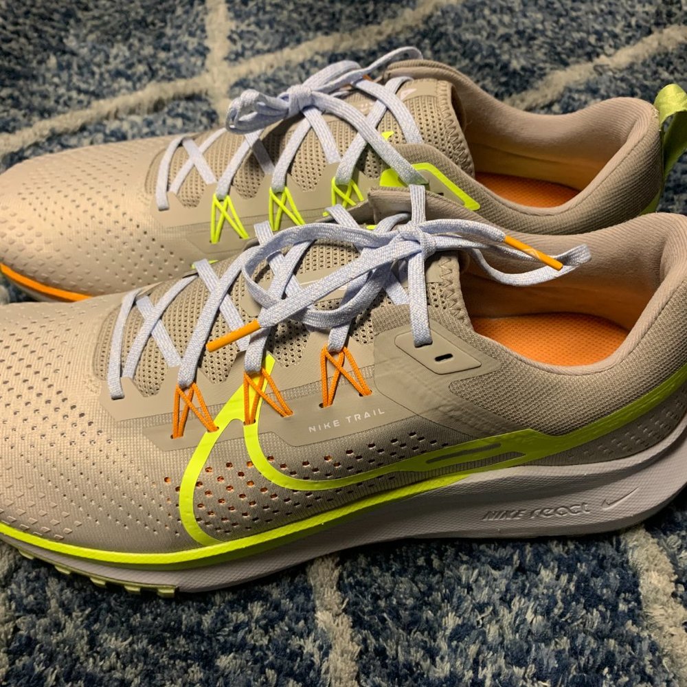 Nike Pegasus Trail 4 (size 14)